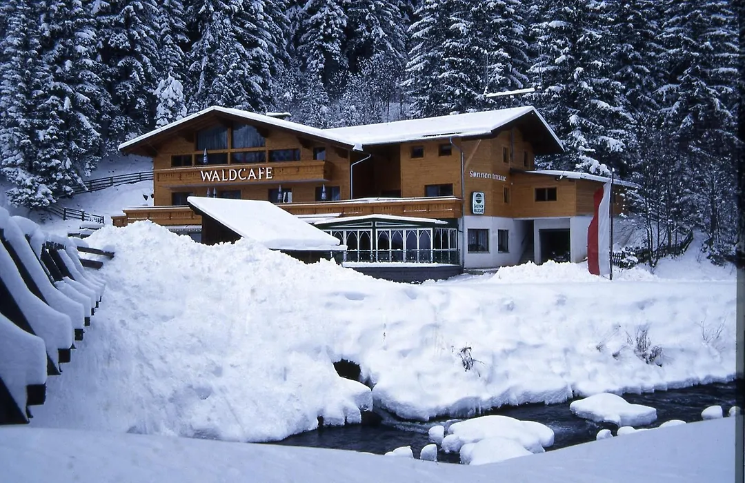 Hotel Waldcafe-1